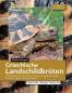 Preview: Griechische Landschildkröten